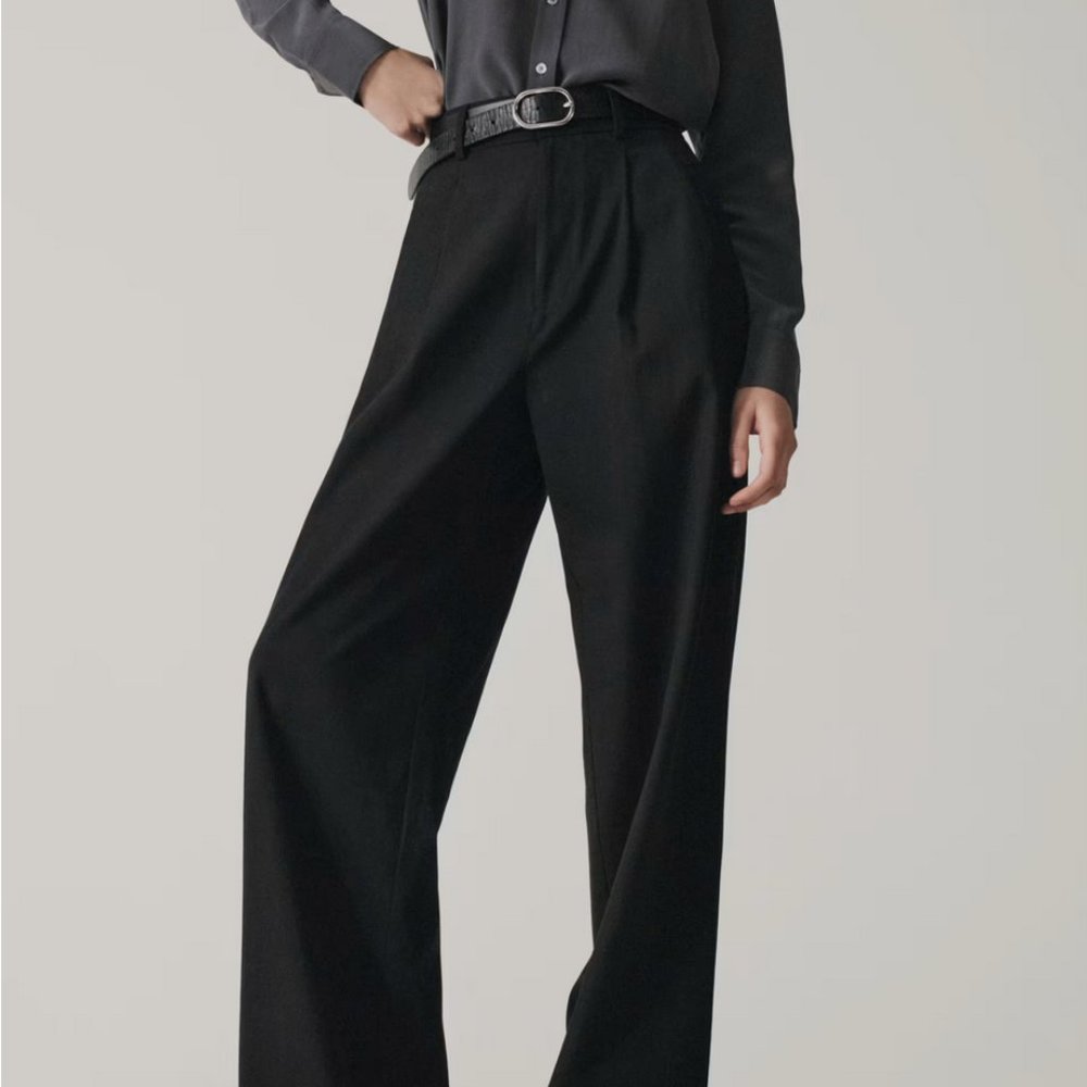 Everlane Way-High Drape Pant - Size 4